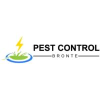Pest Control Bronte image 1